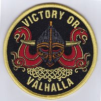 USAFA CS-09 Viking Patch
