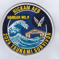 66 ARS Tsunami 2025 Survivor Patch