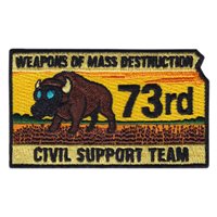 73 WMD Civil Support Team Patch