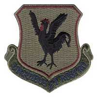 18 WG Subdued Patch