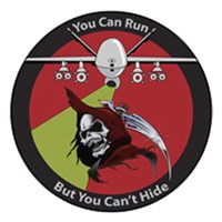 29 AMU MQ-9 Patch