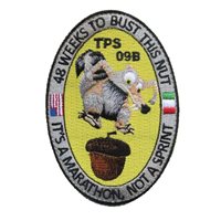 TPS 09B Scrat Patch 