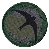 USAF TPS Class 11B Patch