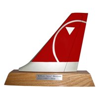 Northwest Airlines Boeing 767 Airplane Tail Flash