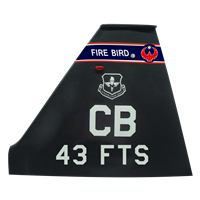 43 FTS T-38 Airplane Tail Flash