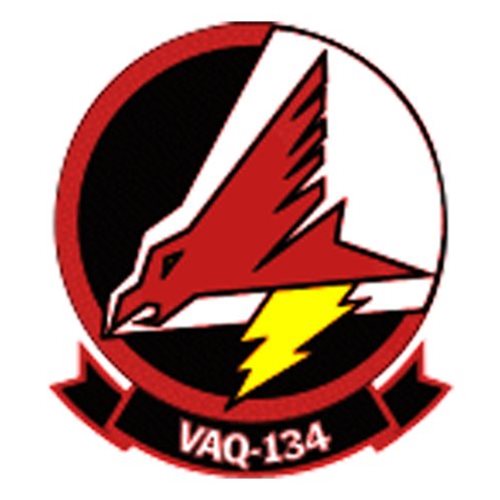 VAQ-134 EA-6B Prowler Custom Airplane Tail Flash