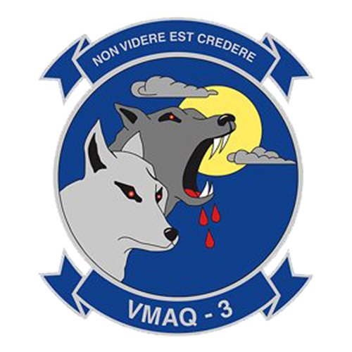 VMAQ-3 EA-6B Prowler Custom Airplane Tail Flash