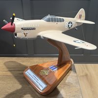 Image representing How to Order a Custom Airplane Model?