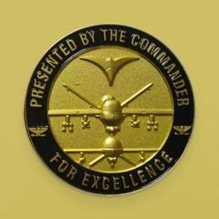 Gold Commander Challenge Coin