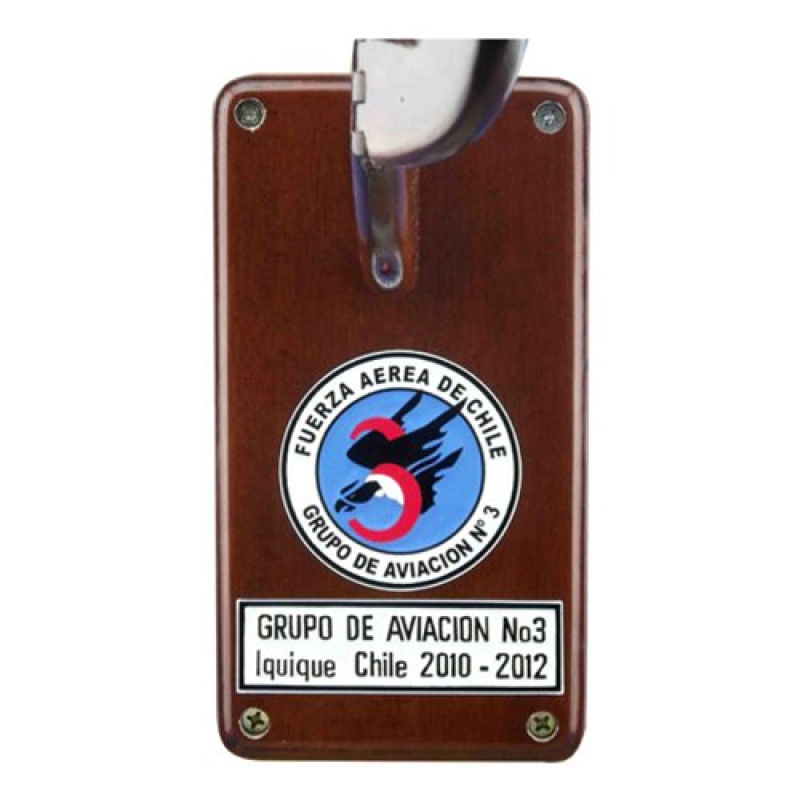 Up close image of wall plauqe mount stand